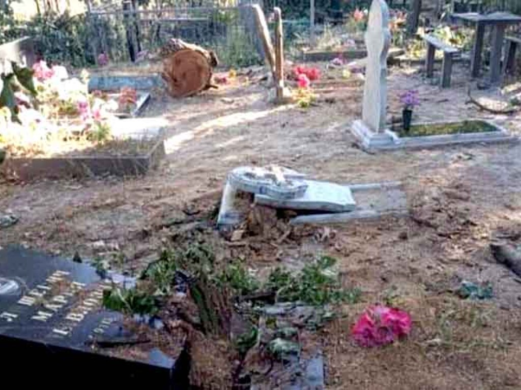 На кладбище под Харьковом  упавший дуб разрушил памятники (ФОТО)