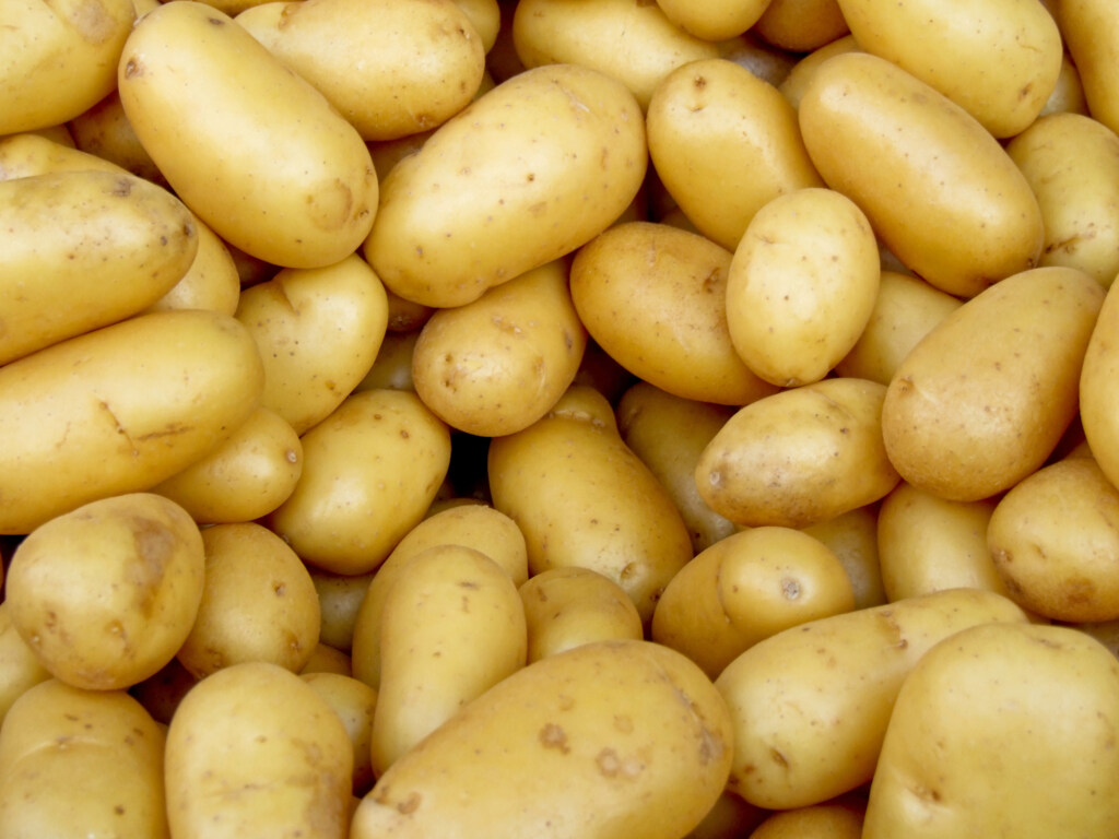 Картофель может стать отравой: ТОП-4 советов по обращению с овощем