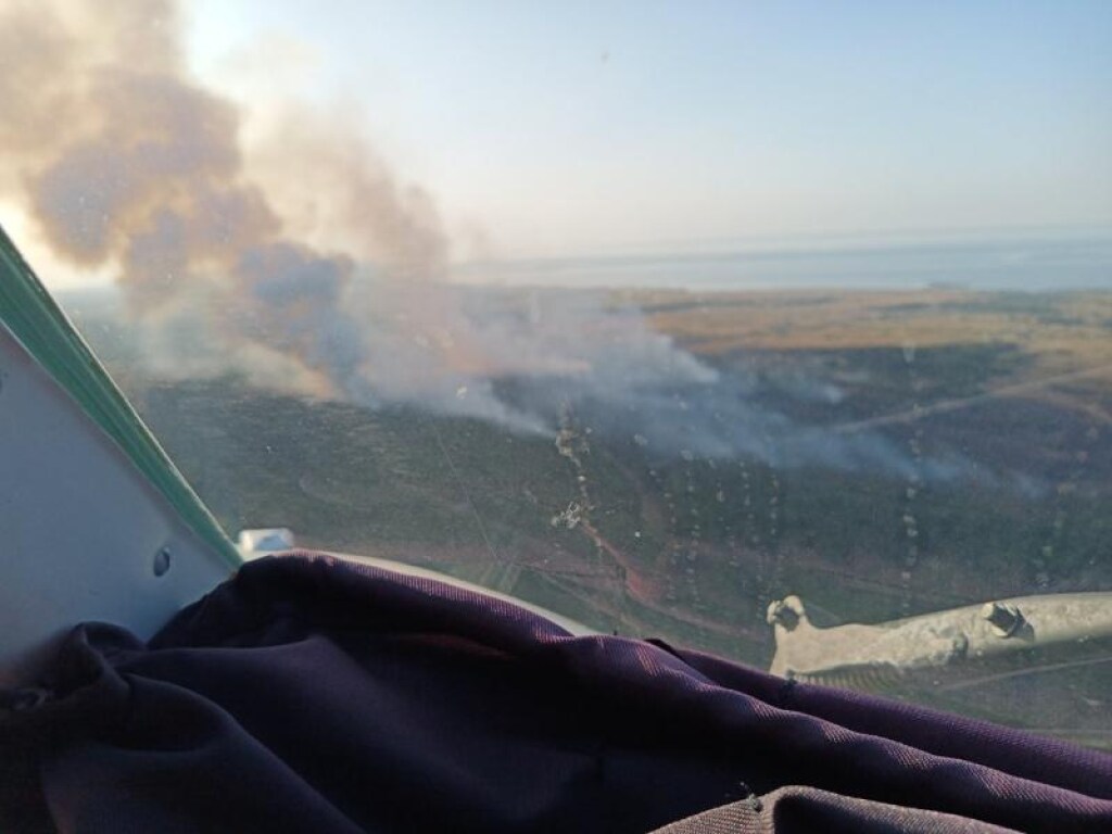 В Херсонской области продолжает гореть лес: пламя тушат с воздуха – ГСЧС (ФОТО)