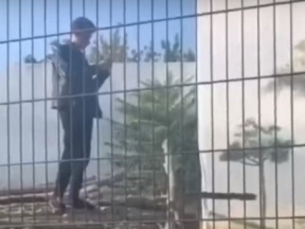Полицейским пришлось применять силу: в Одессе нетрезвый мужчина залез в вольер со львами (ФОТО, ВИДЕО)