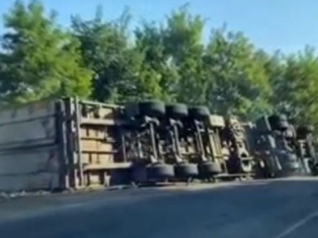 На трассе Мелитополь-Запорожье произошло ДТП: пострадал водитель грузовика (ФОТО)