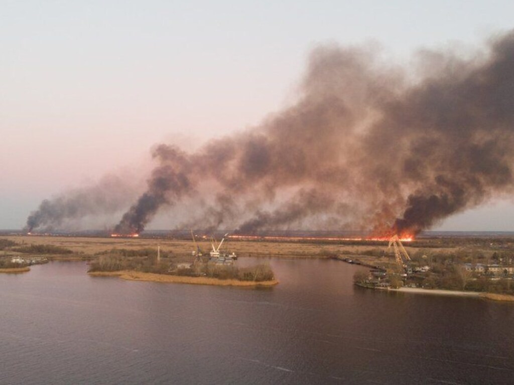 На Херсонщине произошел масштабный пожар на Днепровских плавнях (ВИДЕО)