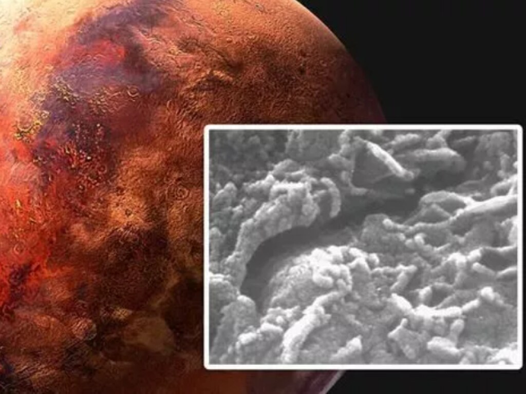 В марсианском метеорите обнаружили «червей» (ФОТО)