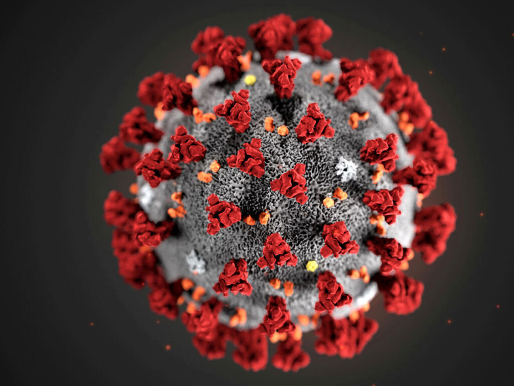 Инфекционист перечислили «детские» симптомы коронавируса