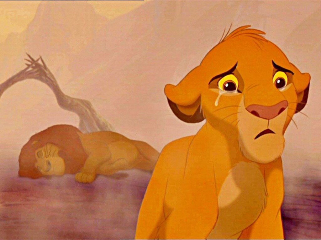 Реакция пса на сцену из мультфильма «Король Лев» растрогала соцсети (ВИДЕО)