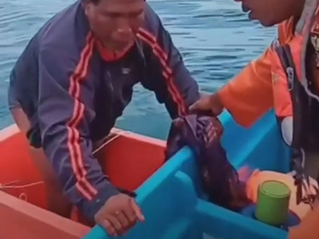 Рыбака, который провёл три дня в морской воде, нашли и спасли (ФОТО, ВИДЕО)