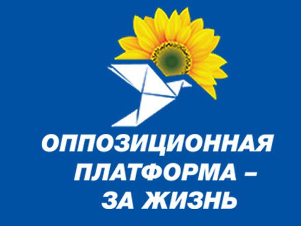 Рудяков: ОПЗЖ может занять первое командное место в Украине по результатам выборов