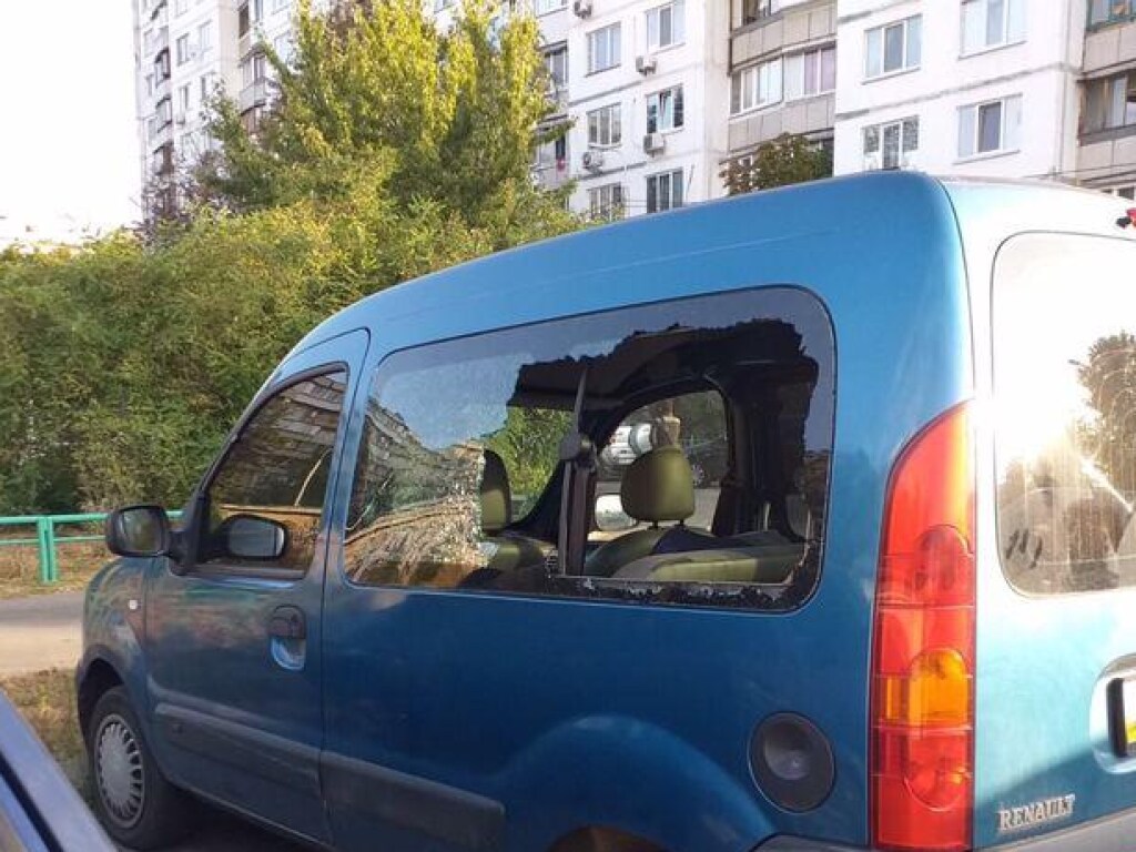 Неизвестные разгромили два авто на Лесном массиве в Киеве (ФОТО)
