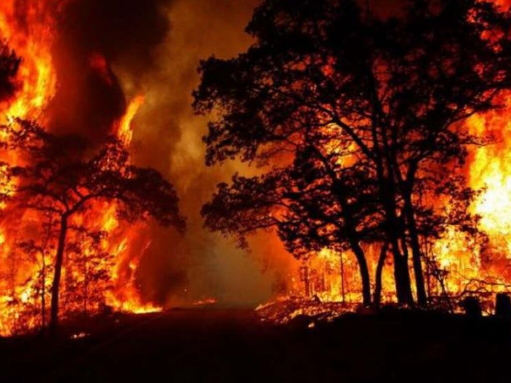 Мощные лесные пожары охватили 10 провинций Аргентины (ФОТО)