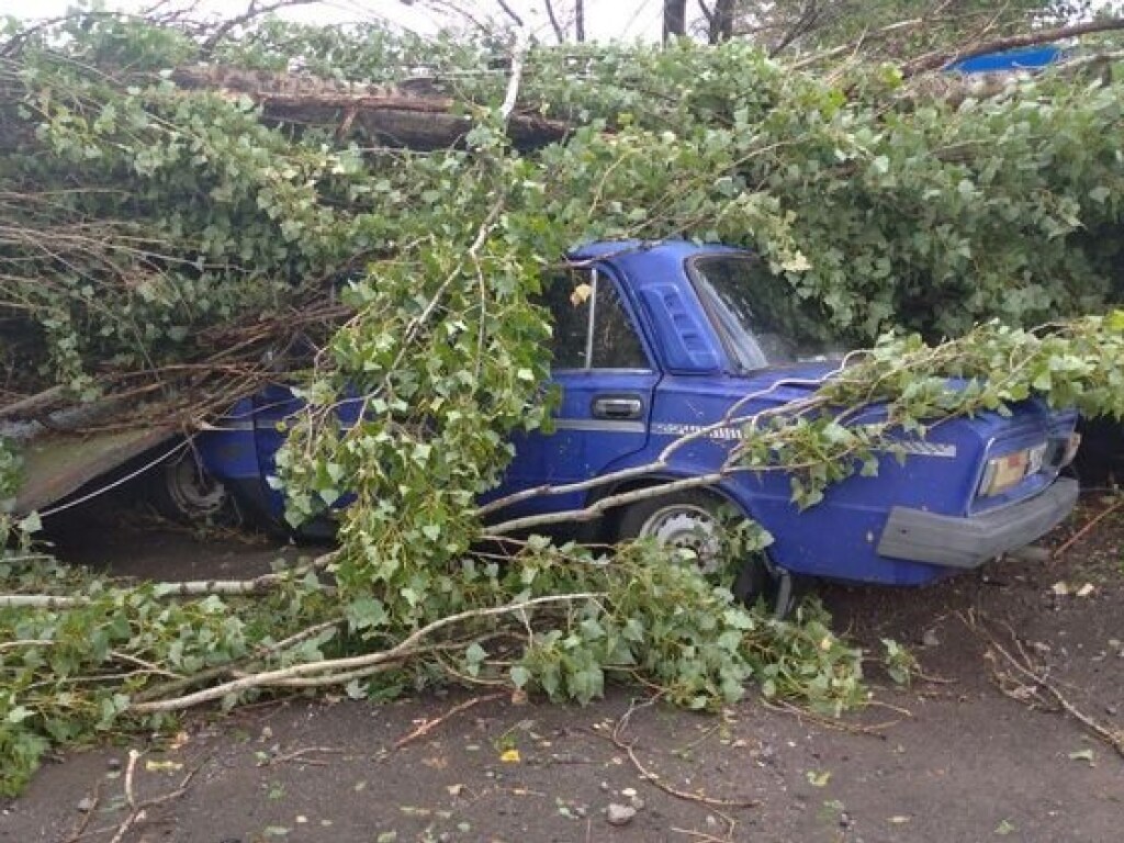 В Херсонской области пронесся ураган (ФОТО)