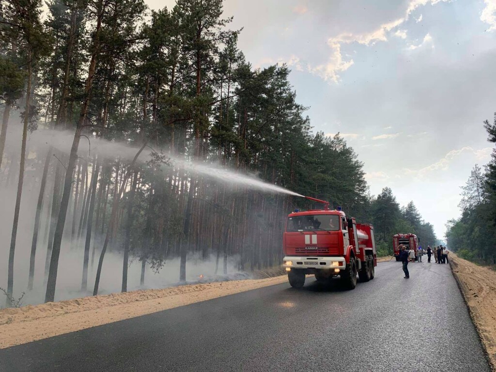 В Луганской области снова загорелся лес
