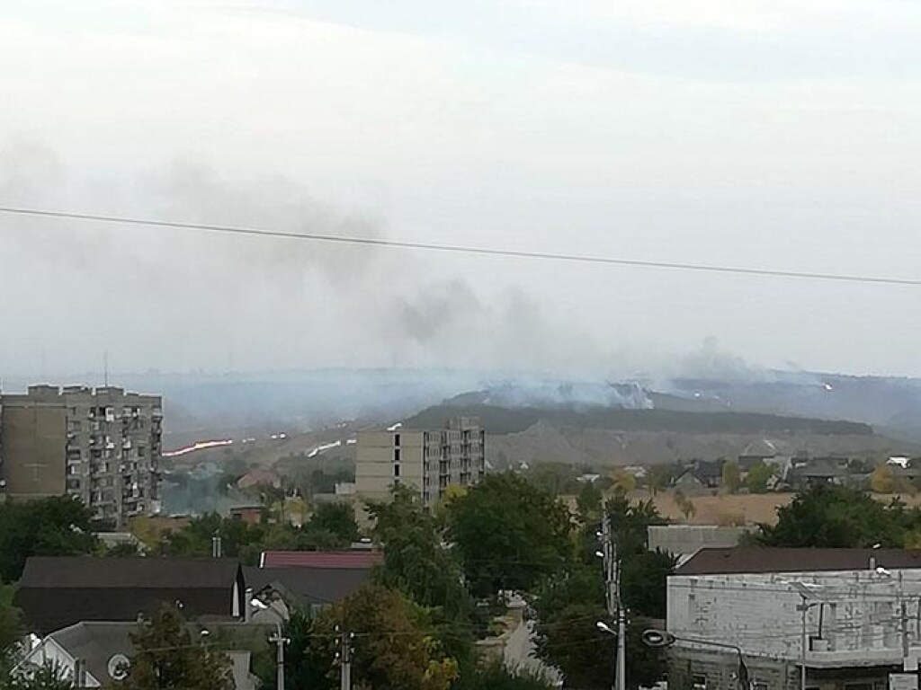 В Донецкой области загорелся лес на площади 6 гектаров: подозревают поджог (ФОТО, ВИДЕО)