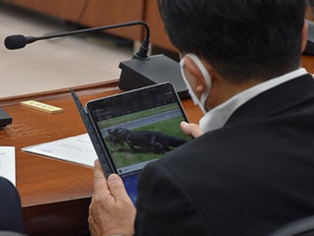 62-летний депутат смотрел видео о крокодилах на заседании парламента (ФОТО)