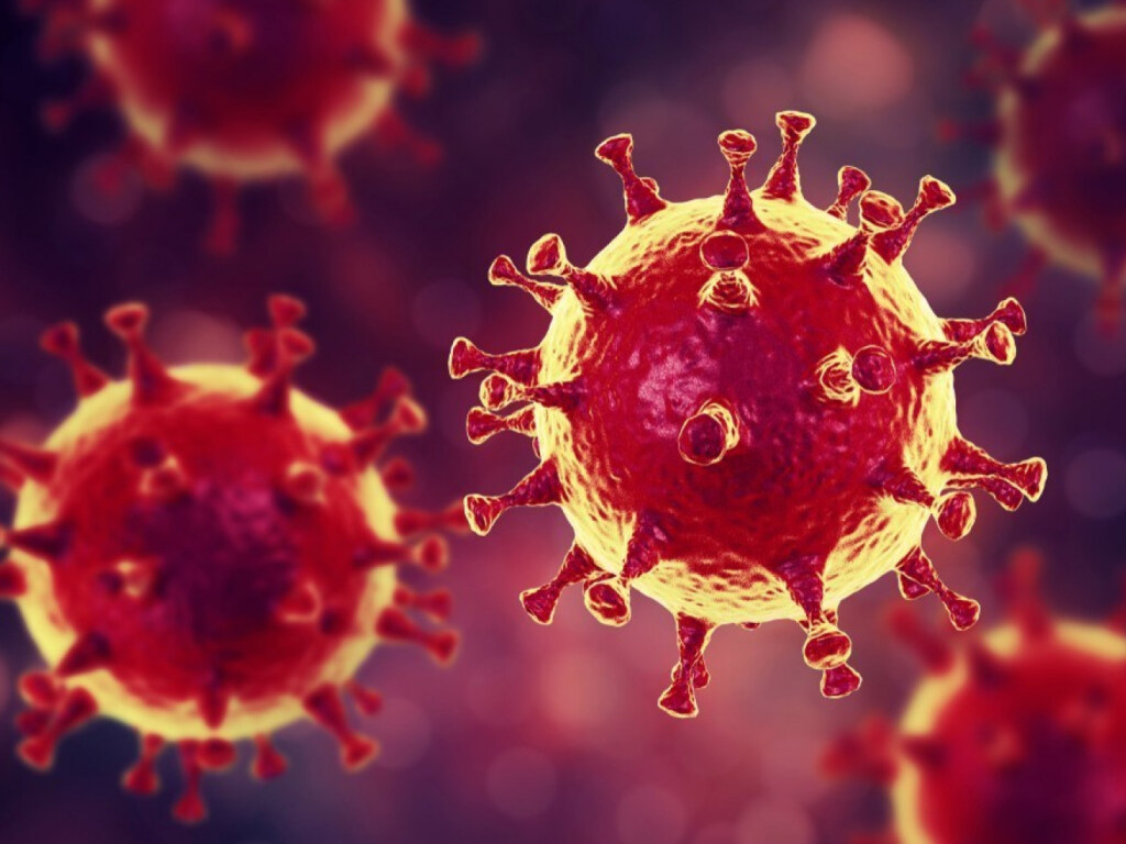 Опровергнут самый главный миф о коронавирусе