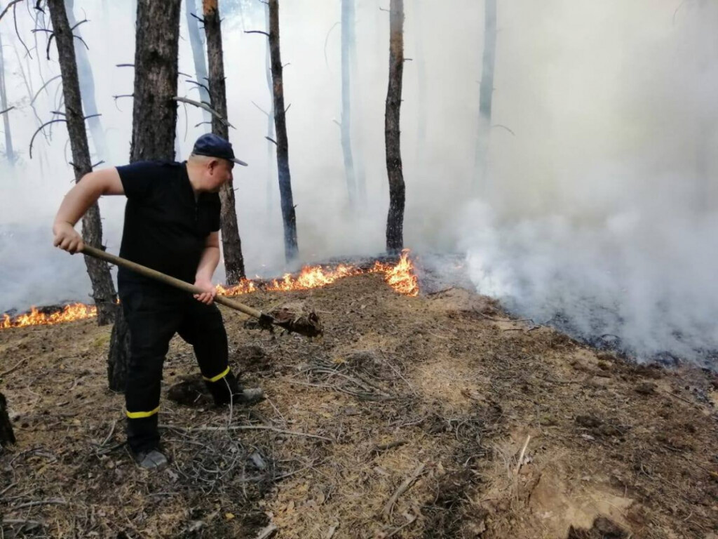 Число жертв в результате пожаров в Луганской области возросло до 9, еще 10 госпитализированы