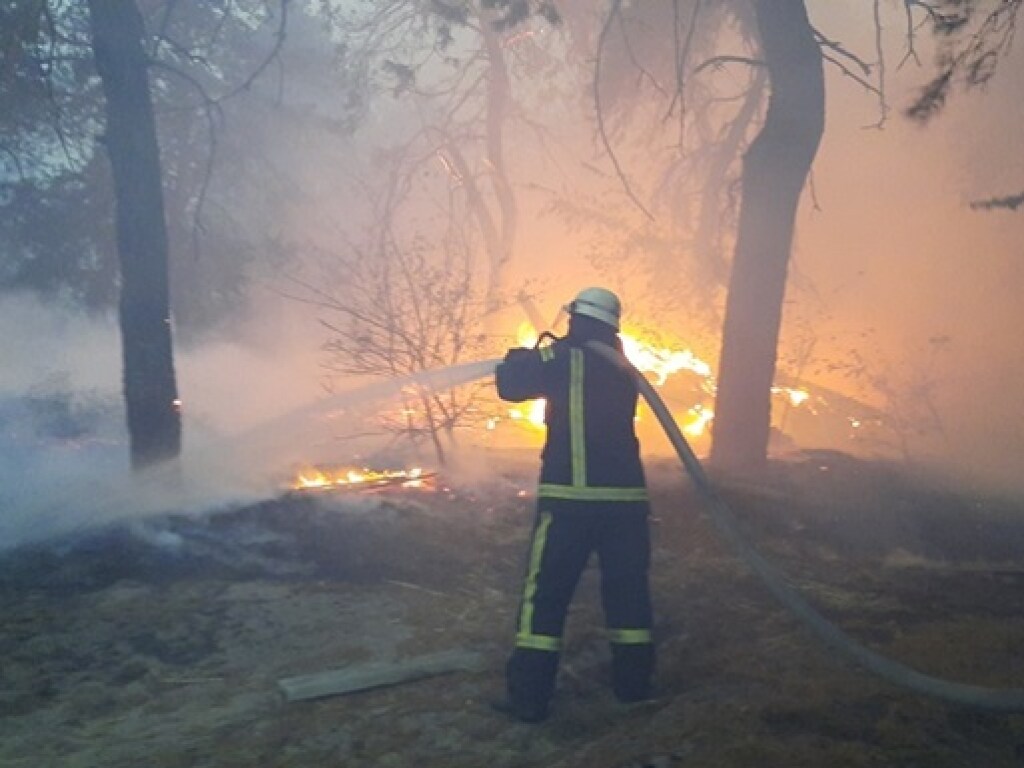 Число погибших в пожарах на Луганщине достигло 11 человек