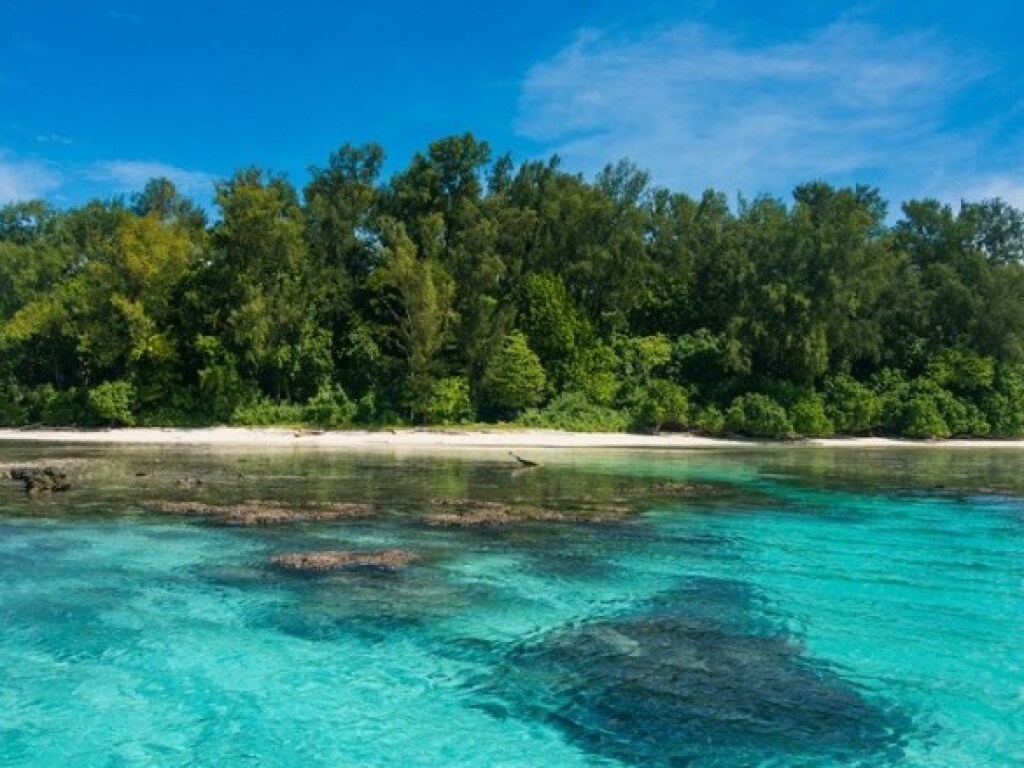 У берегов Папуа-Новой Гвинеи произошло мощное землетрясение