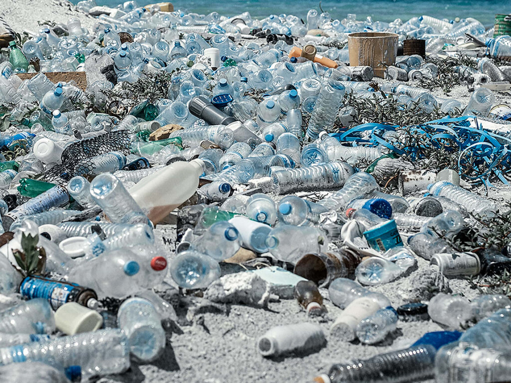 Дно украинских водоемов усеяно пластиковым мусором – эксперт