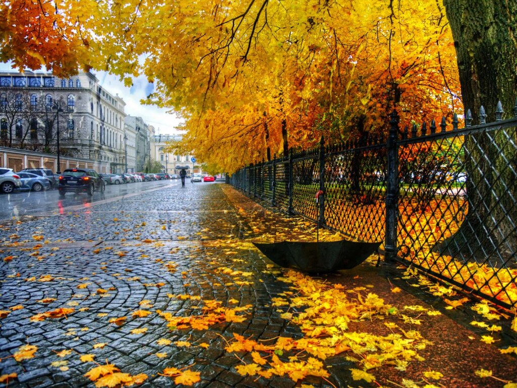 Какая погода будет в октябре: в Укргидрометцентре дали прогноз