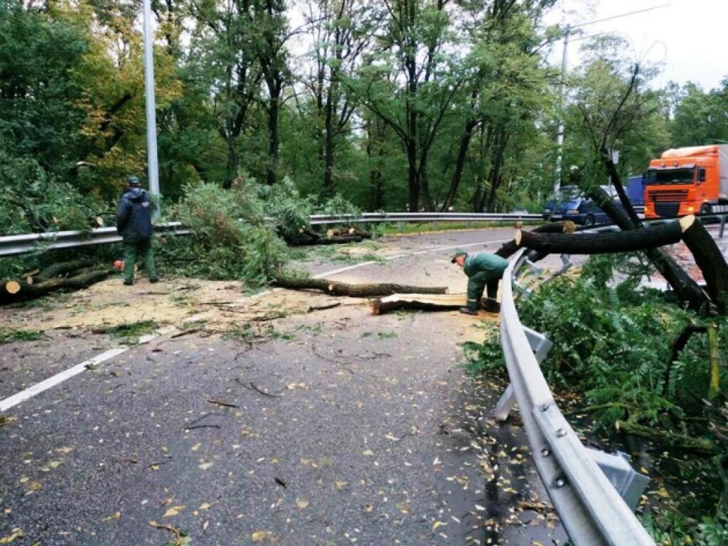 В Киеве ночной ураган повалил десятки деревьев: падали на автомобили и линии электропередач (ФОТО)
