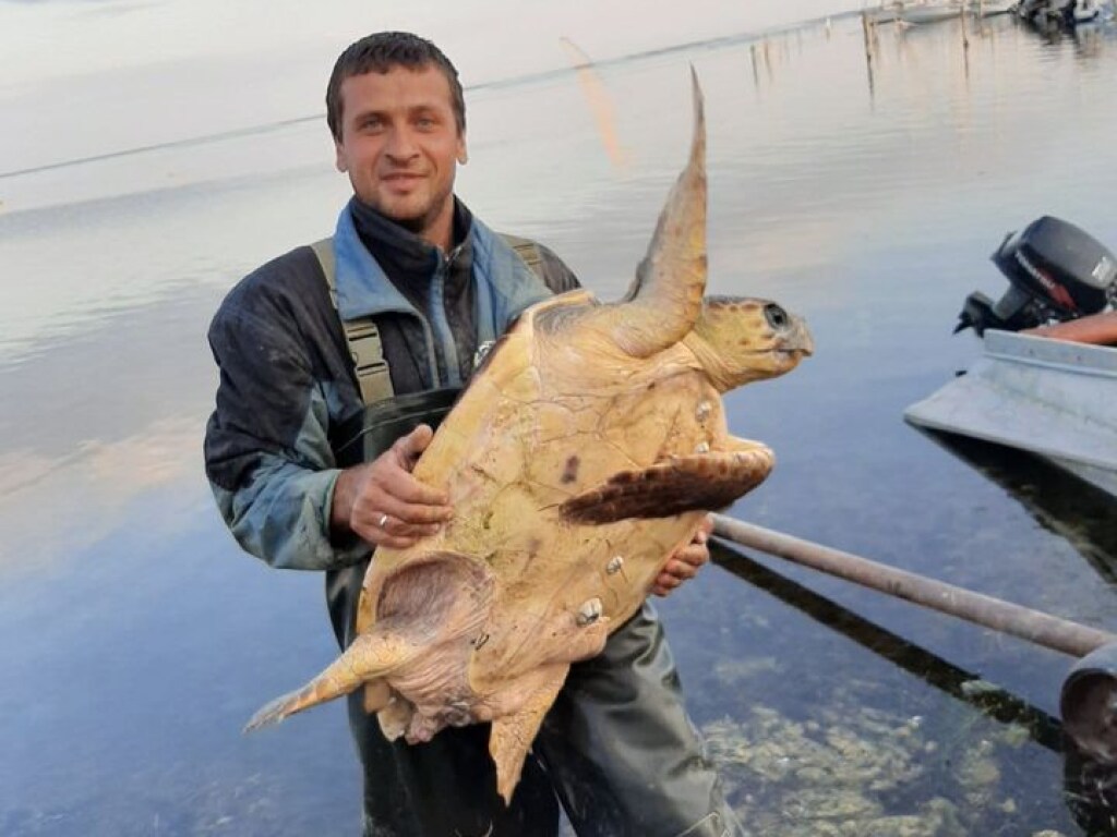 В Херсонской области мужчина на курорте поймал крупную черепаху (ФОТО)