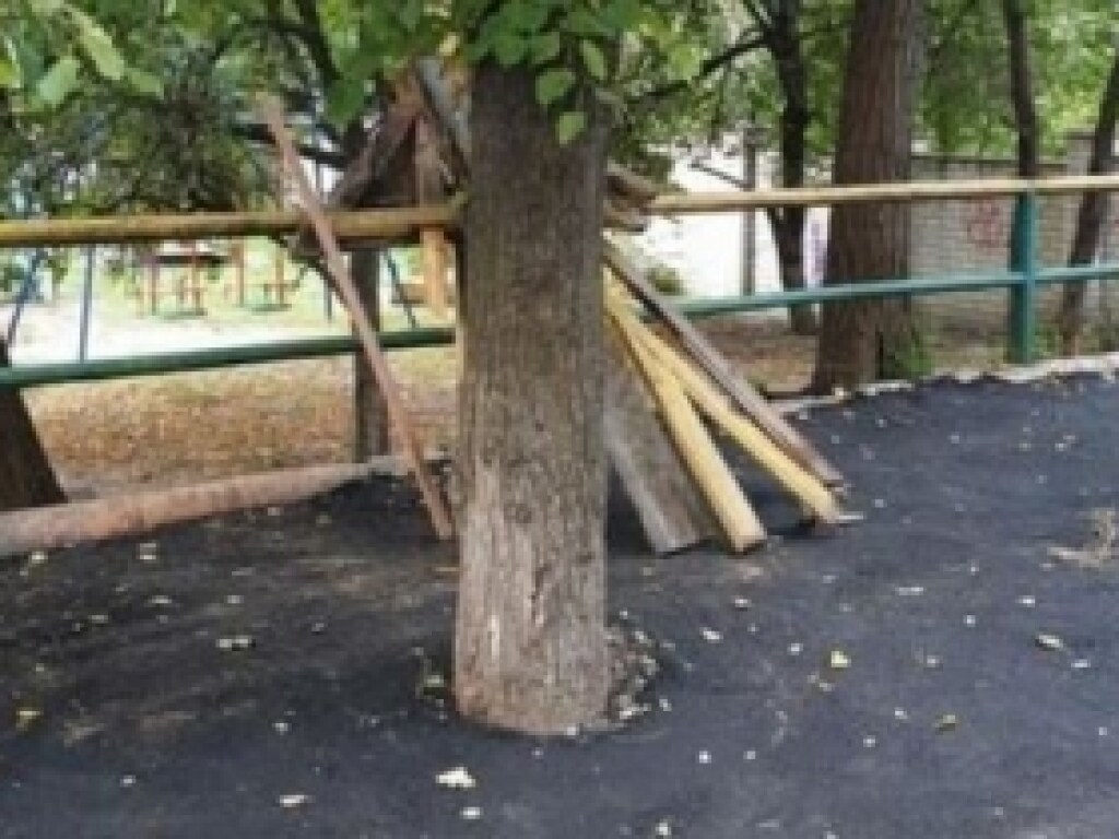 На Нивках в Киев дорожники во время укладки асфальта жестоко обошлись с деревом (ФОТО)
