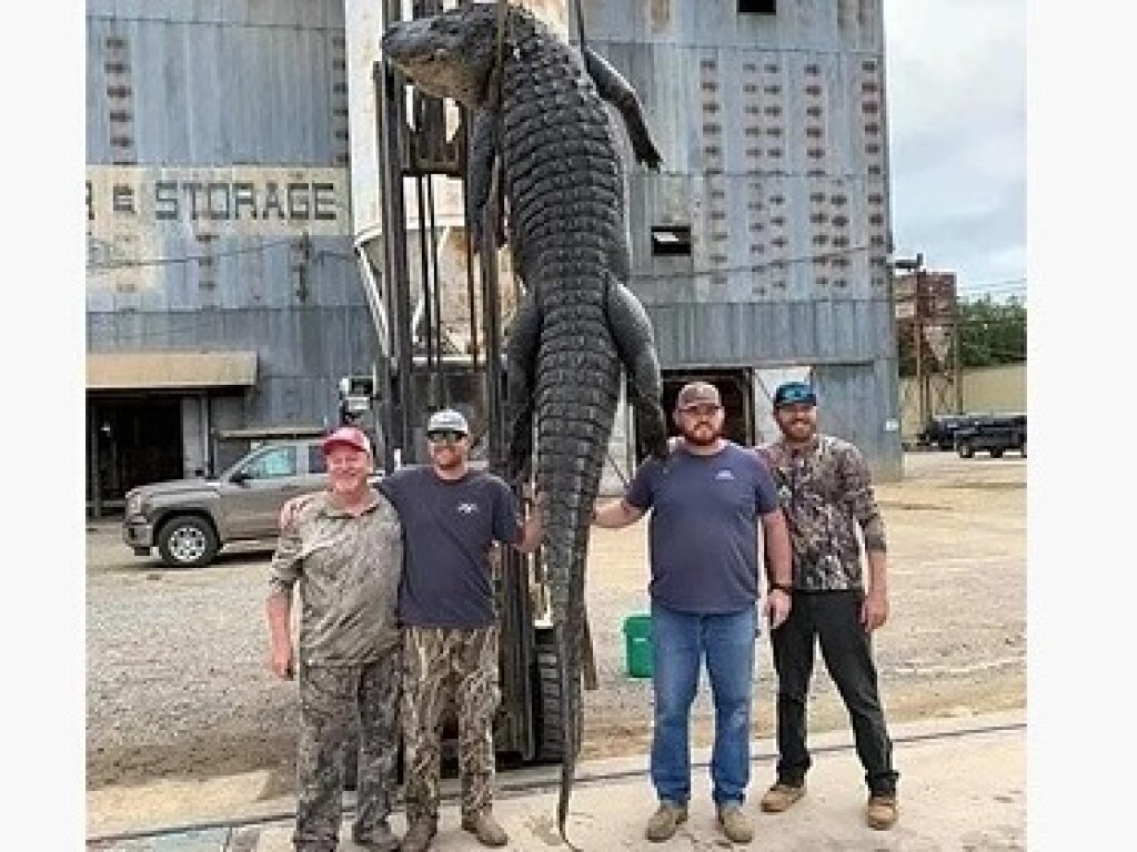 Американские охотники после двухчасовой схватки одолели аллигатора-гиганта (ФОТО)