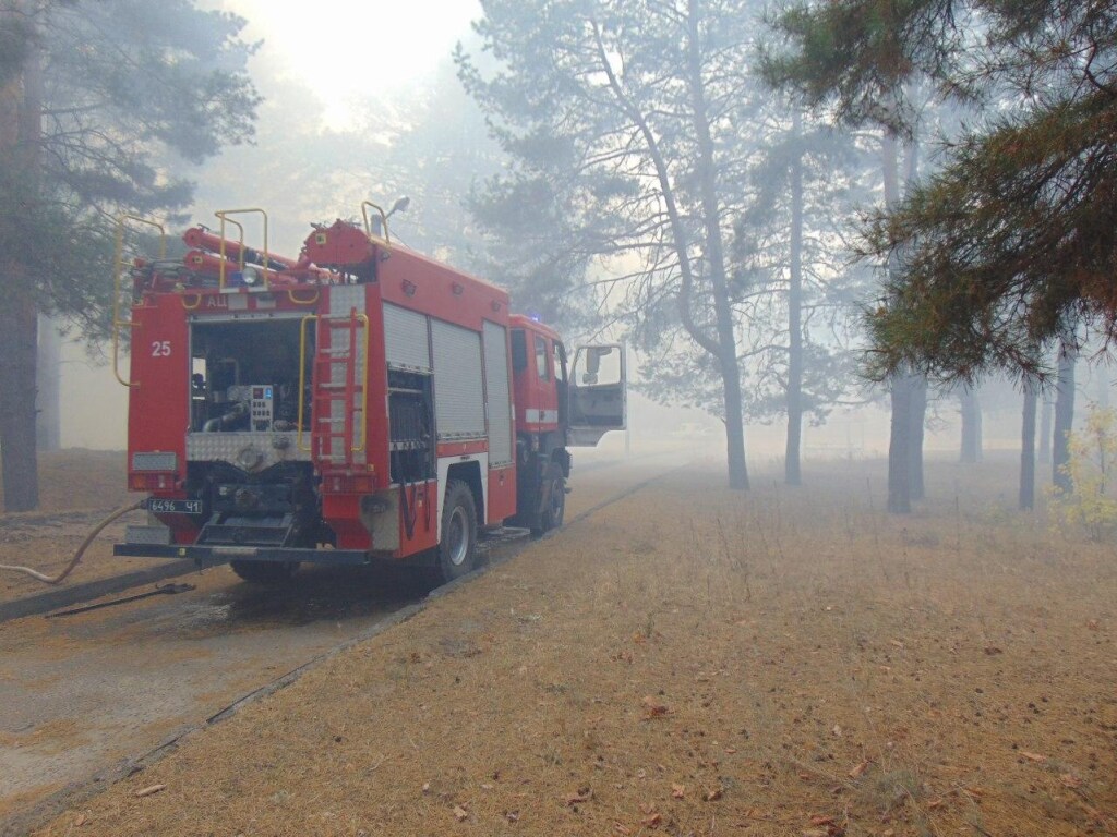 Лесные пожары в Луганской области: локализованы 5 очагов возгорания из 6 &#8212; ГСЧС