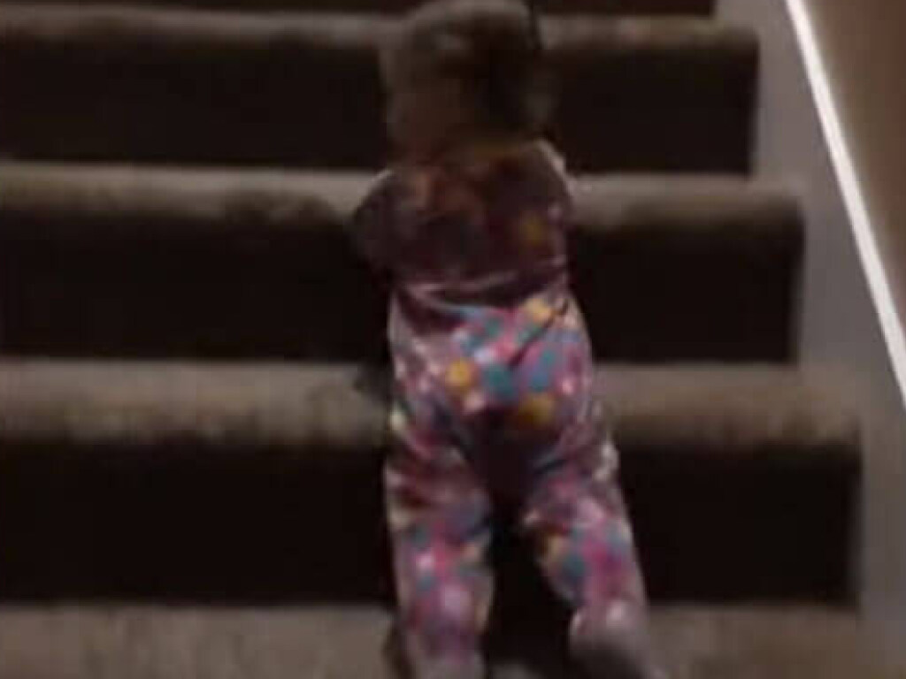 Ленивая девочка придумала опасный способ спускаться по лестнице (ФОТО, ВИДЕО)