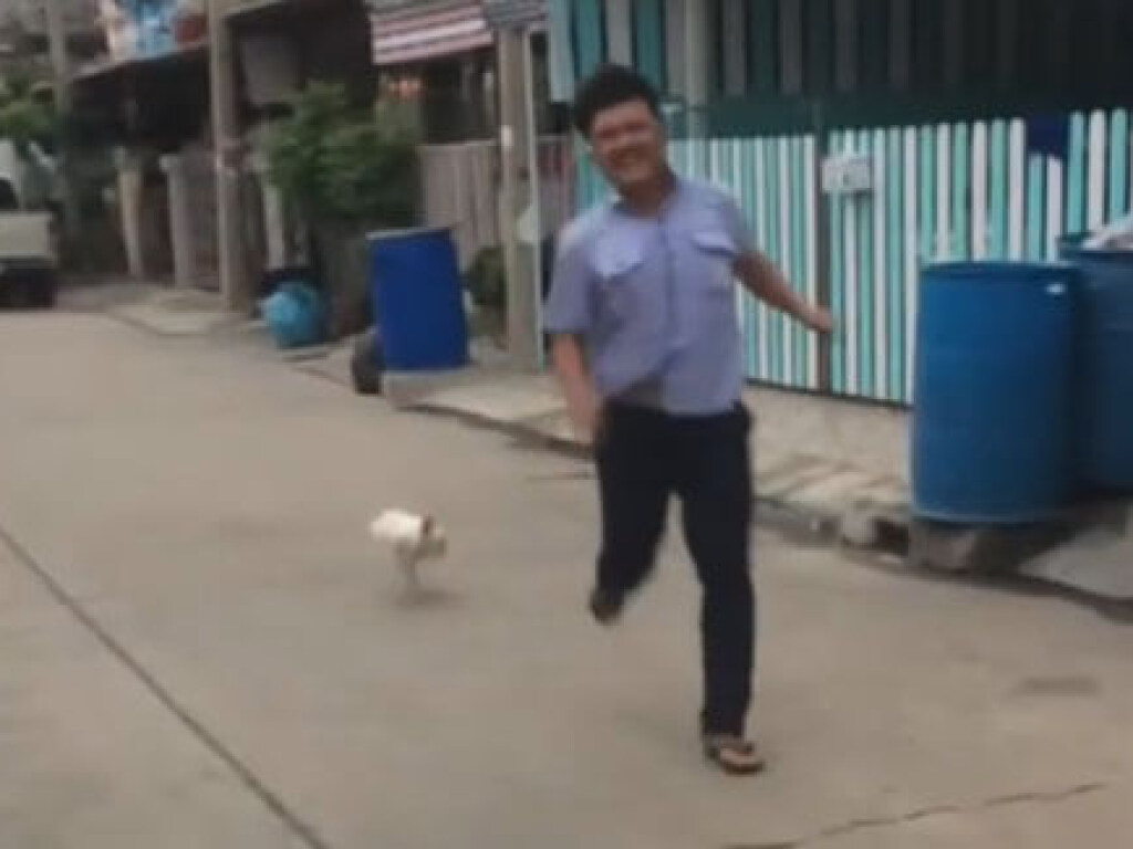 Мужчину на улице атаковала курица: пришлось убегать (ФОТО, ВИДЕО)