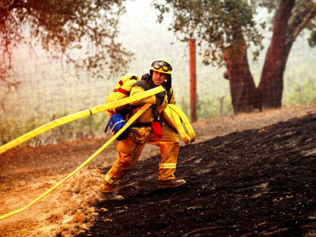 Стал известен объем убытков от лесных пожаров в Калифорнии (ВИДЕО)