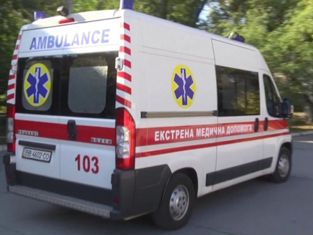 В Запорожье 8-летняя девочка упала с дерева: с переломом и травмой позвоночника ребенка госпитализировали