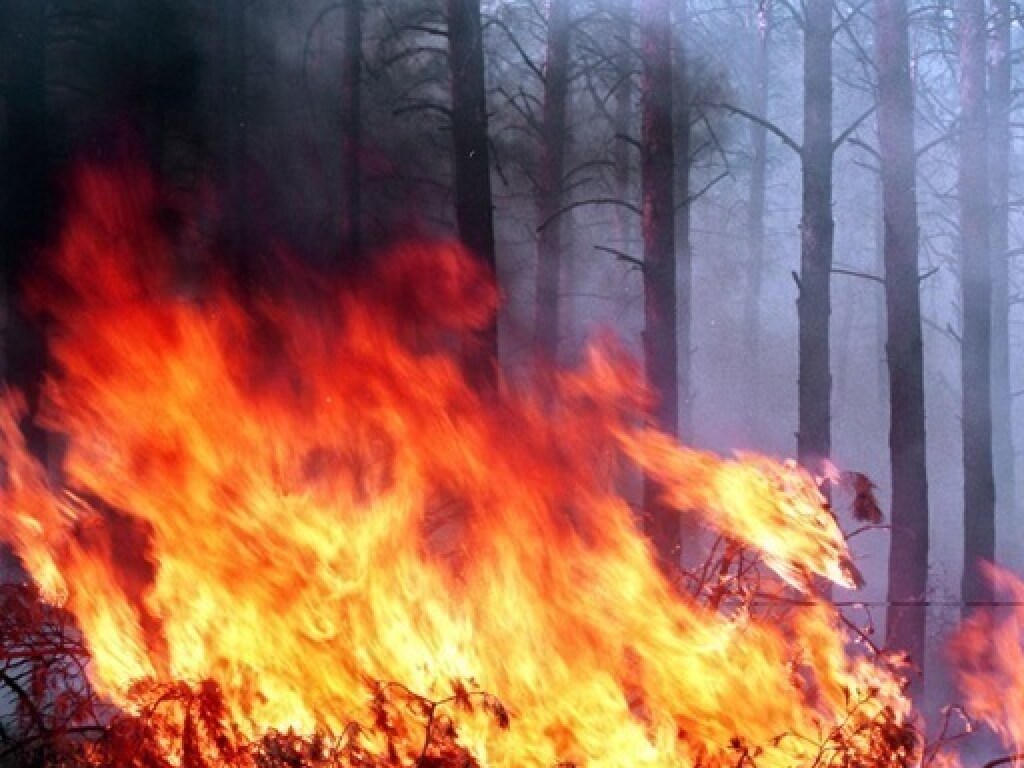 В результате пожаров на Луганщине начали взрываться боеприпасы