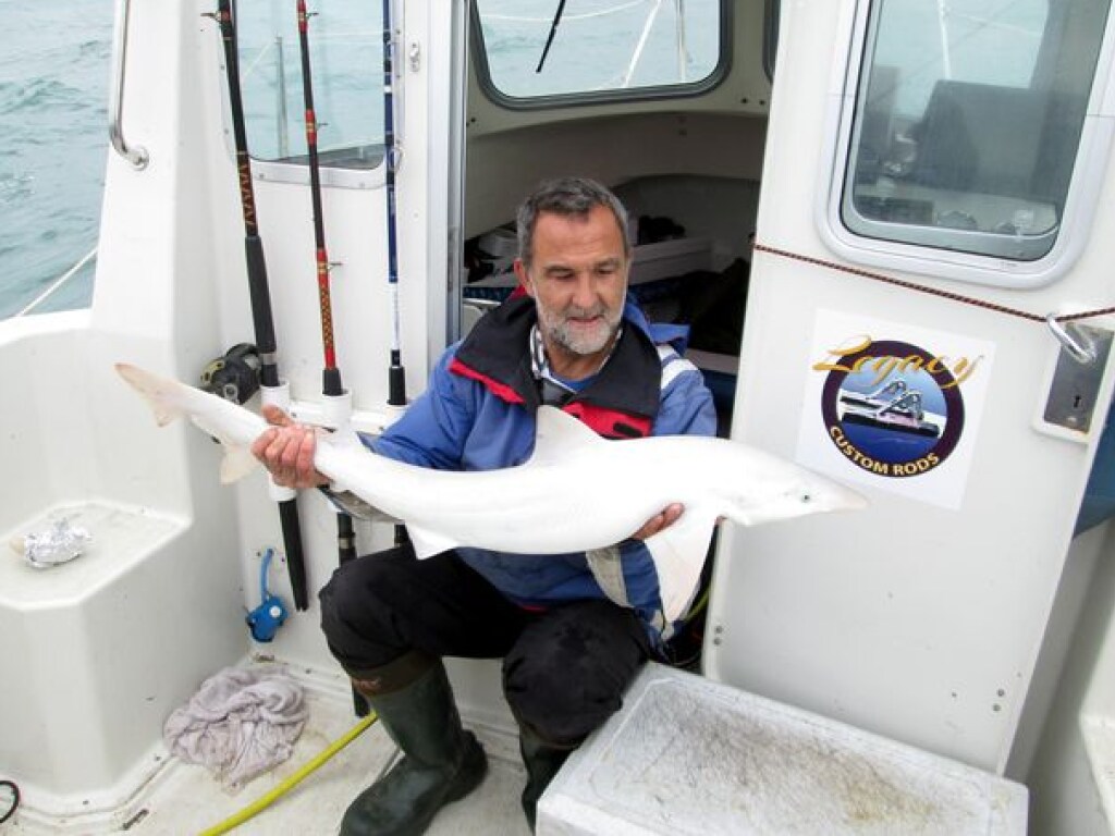 Уникальный улов: рыбак вытащил из моря акулу–«альбиноса» (ФОТО)