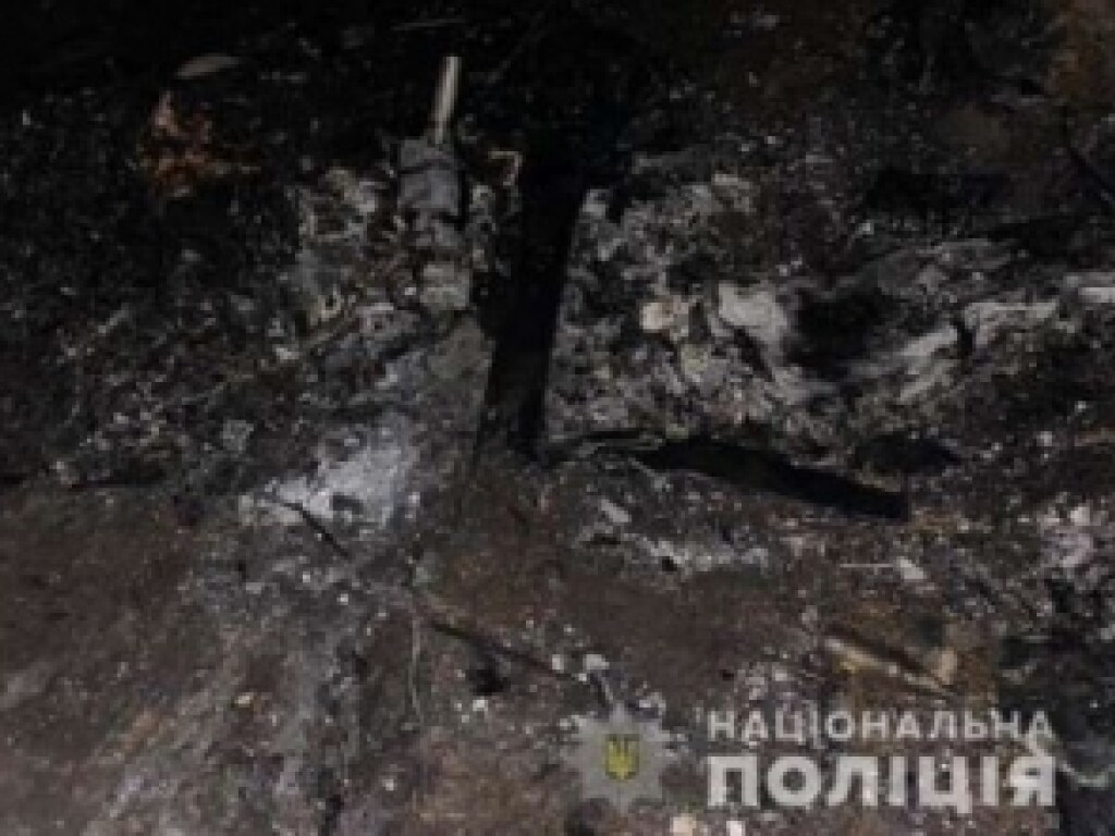 В Киевской области разбился «самодельный» самолет: погибли два пилота (ФОТО)
