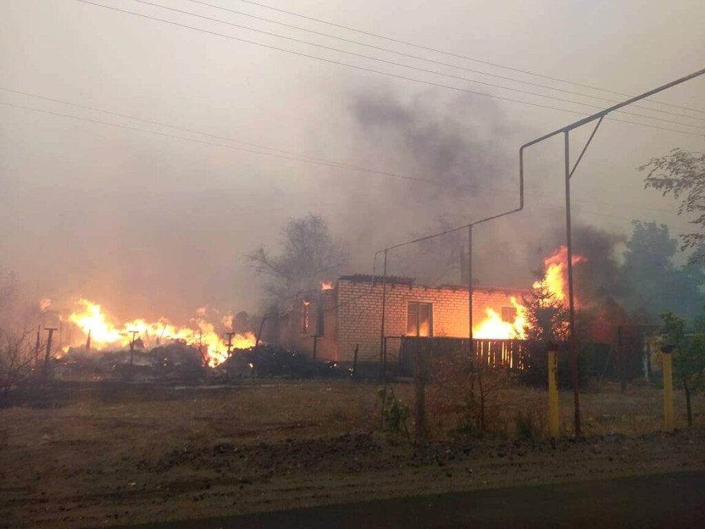 В Луганской области ликвидировали девять из 10 основных очагов пожаров лесных массивов – ГСЧС (ВИДЕО)