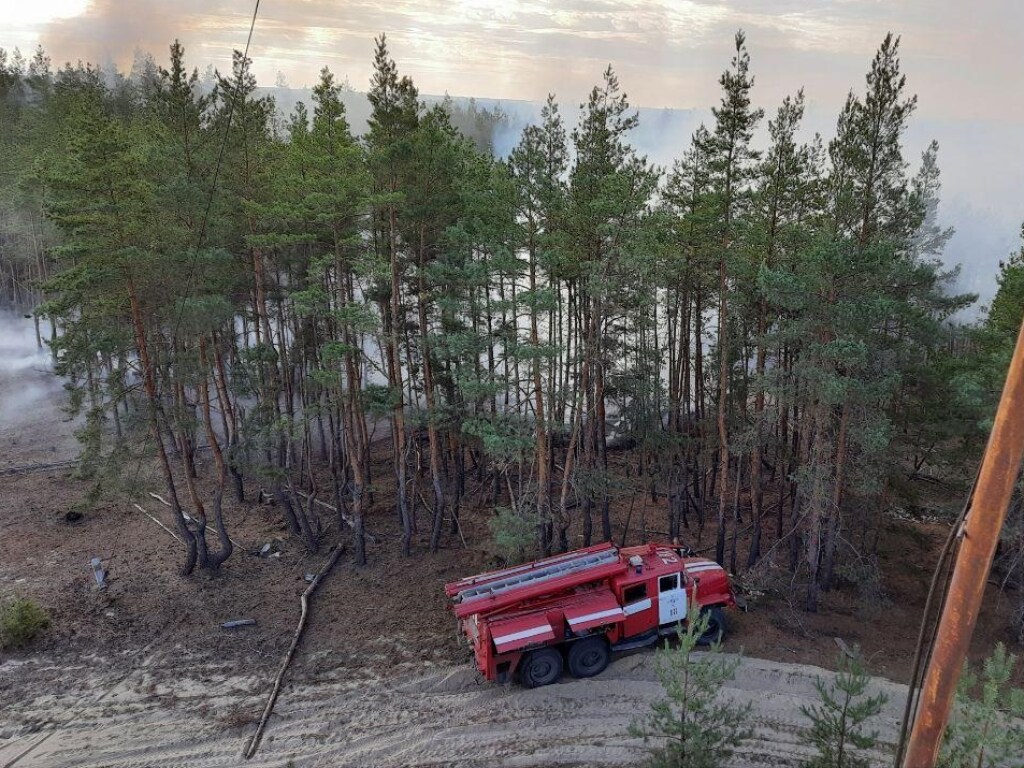 Все пожары в природных экосистемах на территории Луганской области были ликвидированы – ГСЧС