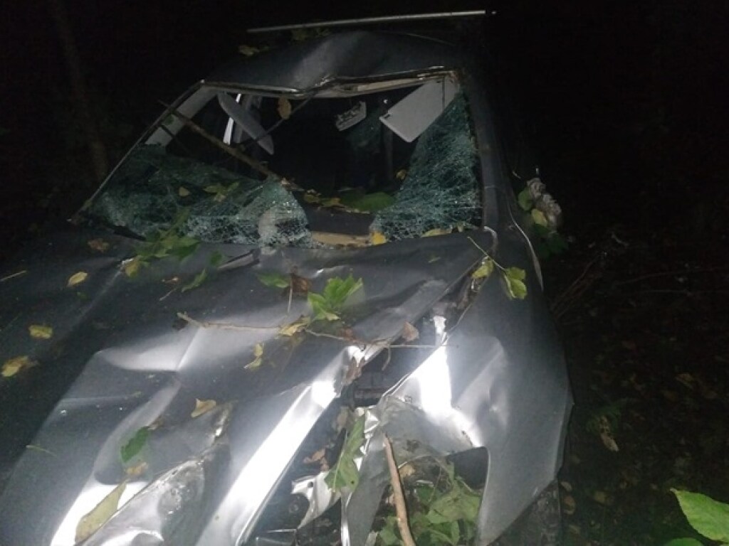 В Винницкой области рухнувшее на машину дерево убило водителя (ФОТО)