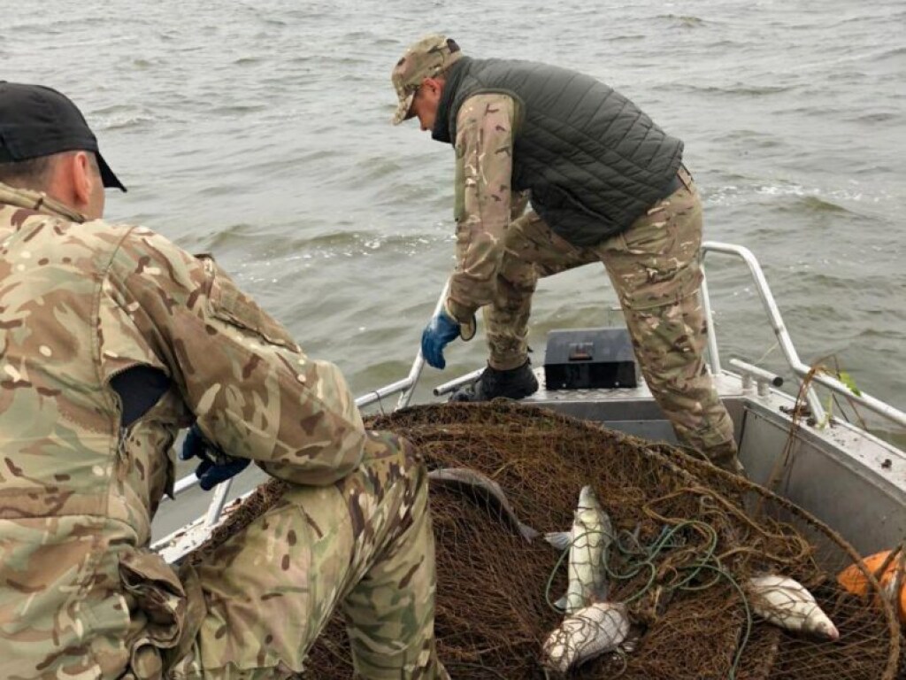 В Черкасской области задержали браконьера с огромным уловом рыбы (ФОТО)