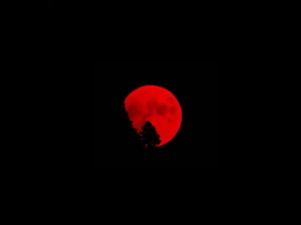 Кровавая Луна заворожила жителей Калифорнии (ФОТО, ВИДЕО)