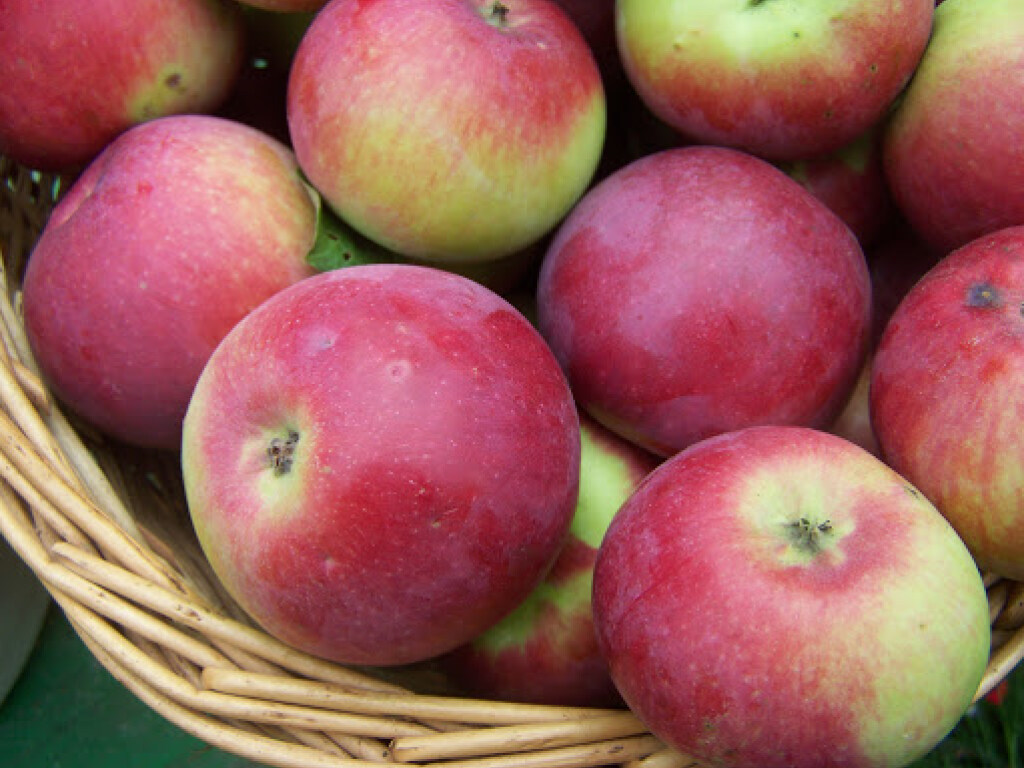 Китайский врач назвал случаи, когда яблоки опасны для здоровья