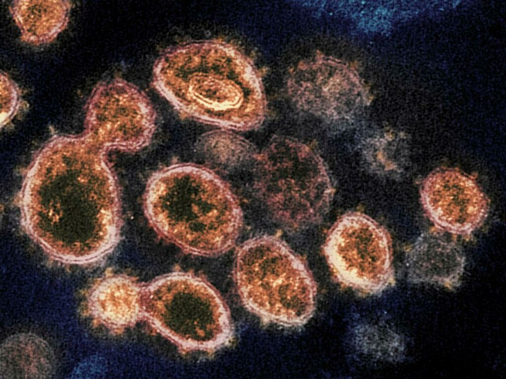 В Минздраве Украины планируют экспериментальный проект по лечению коронавируса