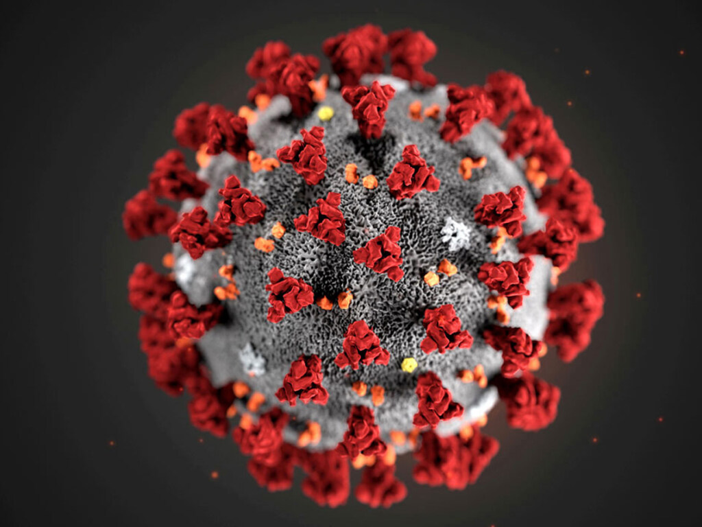 Американские ученые рассказали об изменениях в организме зараженного коронавирусом человека