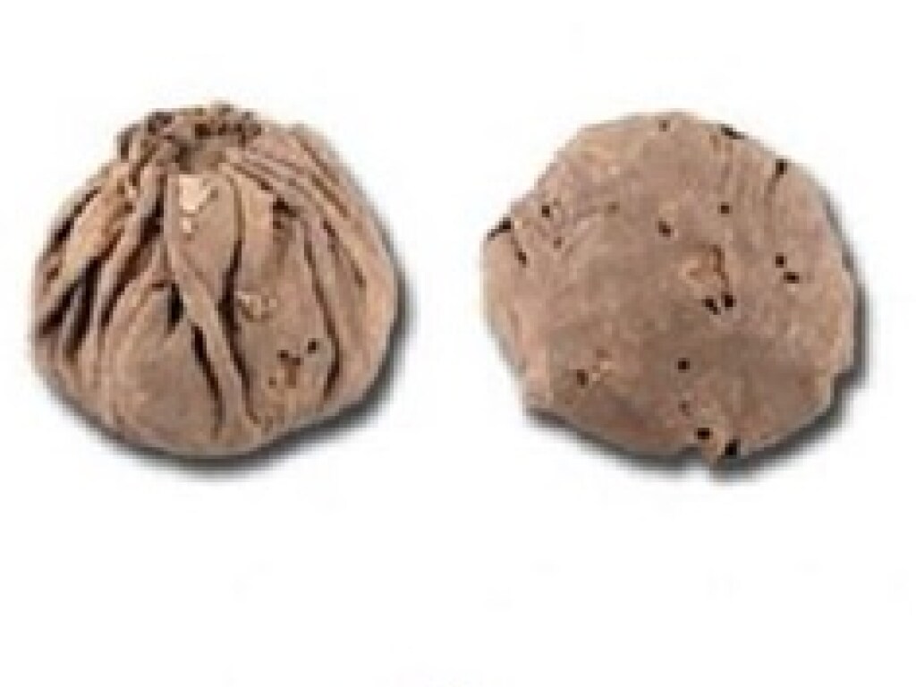 В Китае археологи обнаружили самые древние мячи в Евразии (ФОТО)