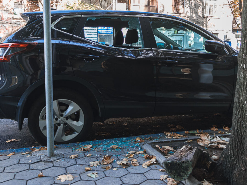 На иномарку в Днепре рухнула ветка дерева: у авто разбиты стекла и крыло (ФОТО)