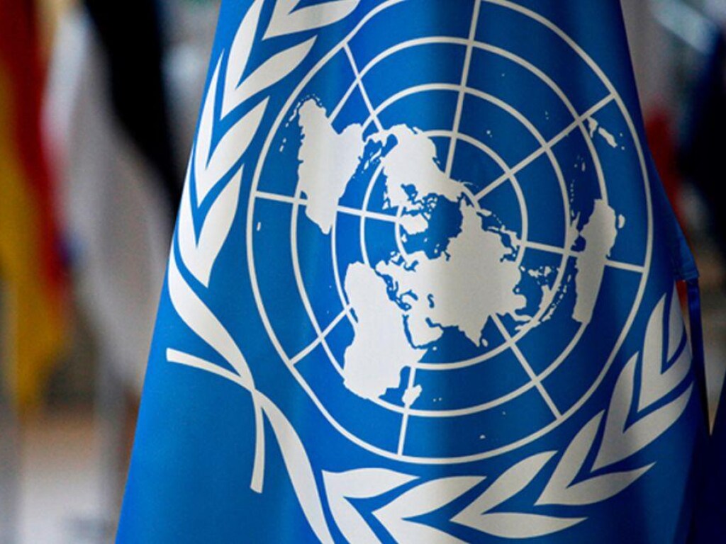 Эксперт прокомментировал переизбрание Украины в Совет по правам человека ООН