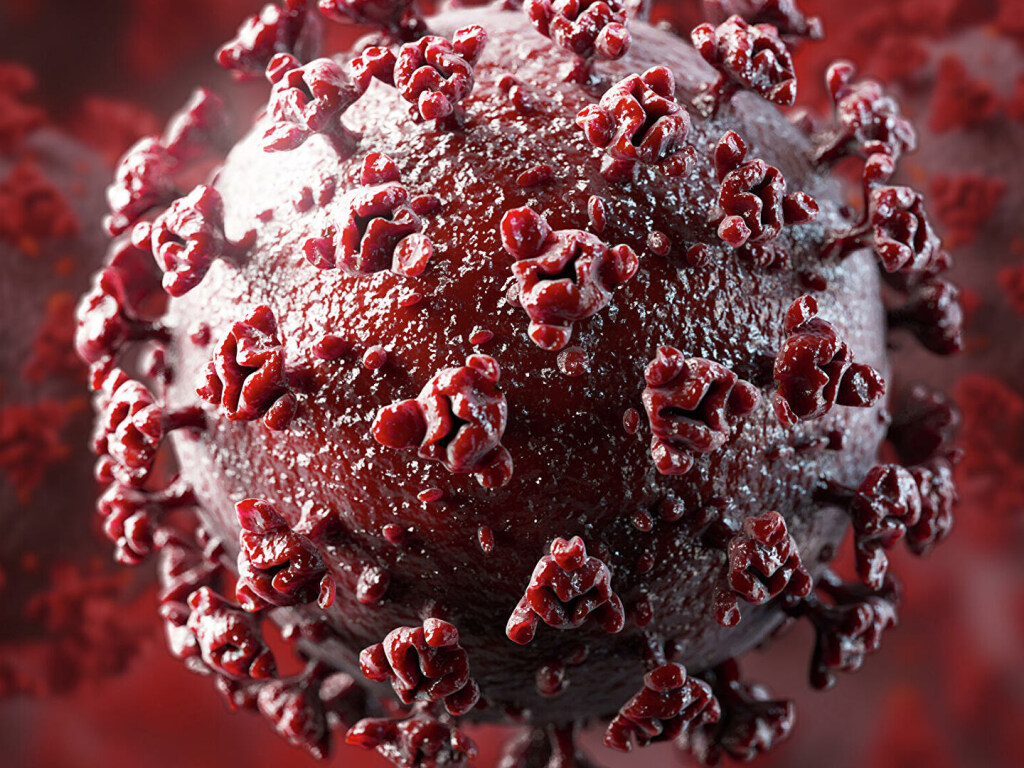 Тяжесть течения коронавируса зависит от группы крови пациента – ученые