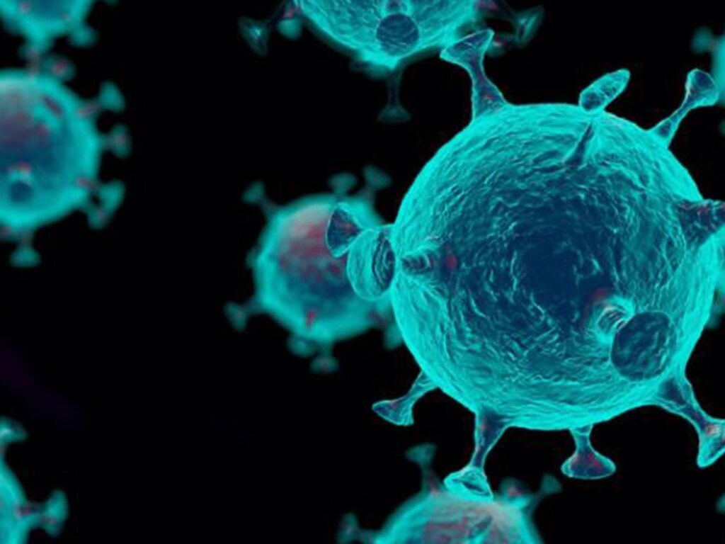 В мире количество инфицированных коронавирусом превысило 39 миллионов человек
