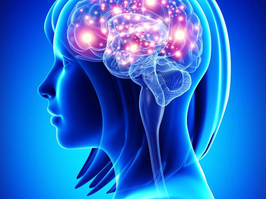 Улучшить работу мозга и способность запоминать новую информацию можно с помощью спорта &#8212; нейробиологи