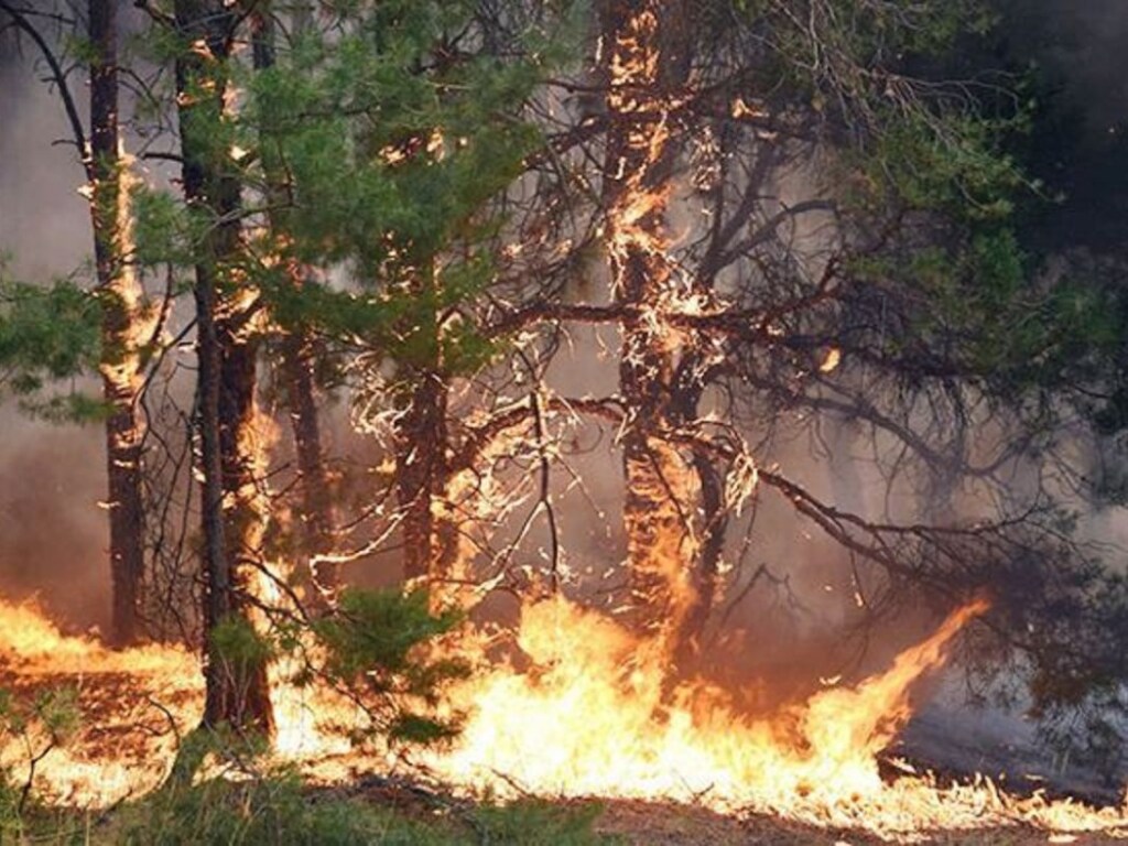 В Украине повышен уровень пожарной опасности